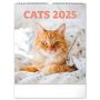 Falinaptr Cats 2024, 30  34 cm